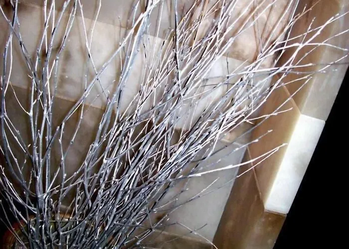 Siete Reyes アインサ